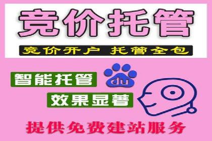 案例研究：百度推广托管助力电商品牌快速崛起